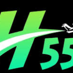 H555 Game